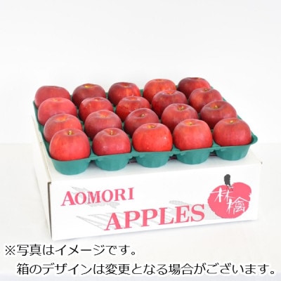 りんご【紅玉】約4.5kg(20～28玉)【2025年産・先行予約】10月中旬～10月下旬頃発送予定