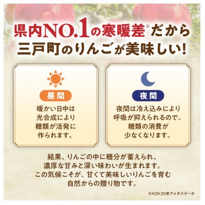 りんご【紅玉】約4.5kg(20～28玉)【2025年産・先行予約】10月中旬～10月下旬頃発送予定