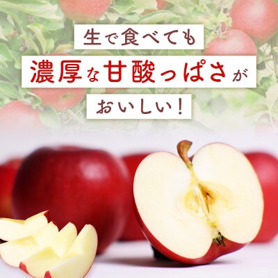 りんご【紅玉】約4.5kg(20～28玉)【2025年産・先行予約】10月中旬～10月下旬頃発送予定
