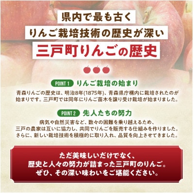りんご【紅玉】約4.5kg(20～28玉)【2025年産・先行予約】10月中旬～10月下旬頃発送予定