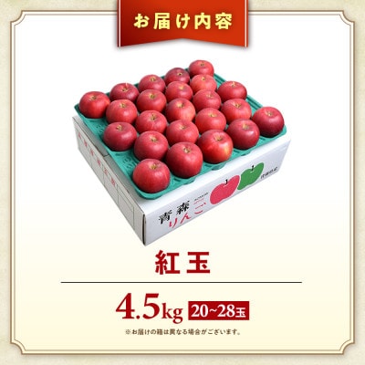 りんご【紅玉】約4.5kg(20～28玉)【2025年産・先行予約】10月中旬～10月下旬頃発送予定