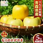りんご【もりのかがやき】約5kg(10～20玉)【2025年産・先行予約】10月中旬～下旬頃発送予定