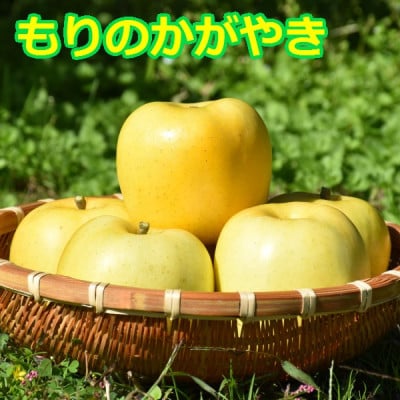 りんご【もりのかがやき】約5kg(10～20玉)【2025年産・先行予約】