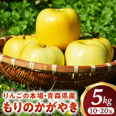 りんご【もりのかがやき】約5kg(10～20玉)【2025年産・先行予約】10月中旬～下旬頃発送予定