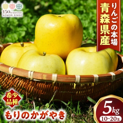 りんご【もりのかがやき】約5kg(10～20玉)【2025年産・先行予約】10月中旬～下旬頃発送予定