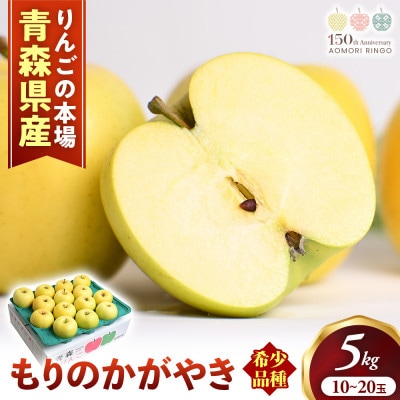りんご【もりのかがやき】約5kg(10～20玉)【2025年産・先行予約】10月中旬～下旬頃発送予定