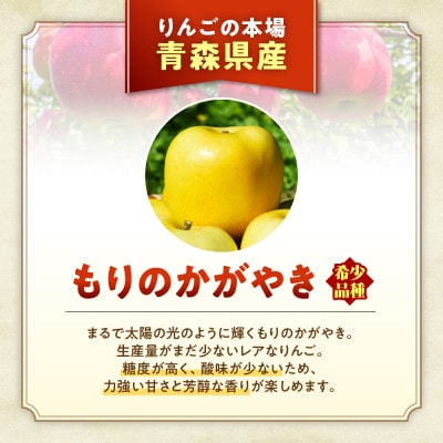 りんご【もりのかがやき】約5kg(10～20玉)【2025年産・先行予約】10月中旬～下旬頃発送予定
