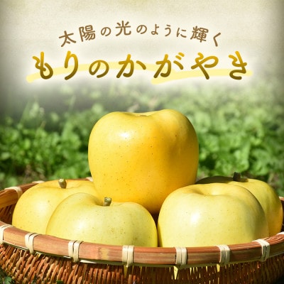 りんご【もりのかがやき】約5kg(10～20玉)【2025年産・先行予約】10月中旬～下旬頃発送予定