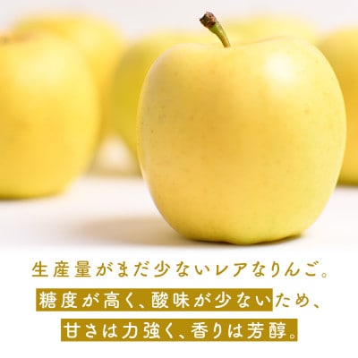 りんご【もりのかがやき】約5kg(10～20玉)【2025年産・先行予約】10月中旬～下旬頃発送予定