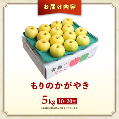 りんご【もりのかがやき】約5kg(10～20玉)【2025年産・先行予約】10月中旬～下旬頃発送予定