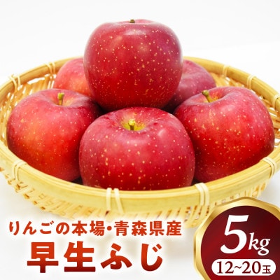 りんご【早生ふじ】約5kg(12～20玉)【2025年産・先行予約】9月下旬～10月下旬頃発送予定