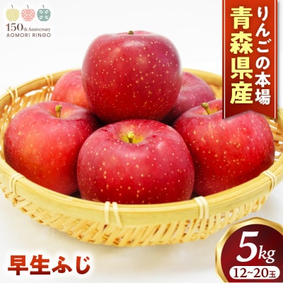 りんご【早生ふじ】約5kg(12～20玉)【2025年産・先行予約】9月下旬～10月下旬頃発送予定