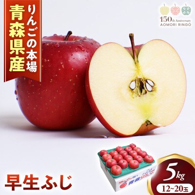 りんご【早生ふじ】約5kg(12～20玉)【2026年産・先行予約】9月下旬～10月下旬頃発送予定