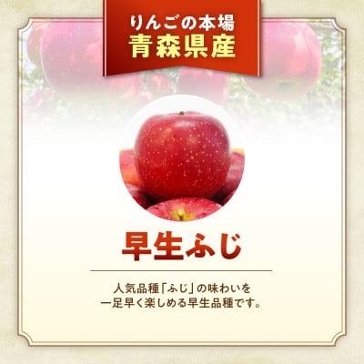 りんご【早生ふじ】約5kg(12～20玉)【2025年産・先行予約】9月下旬～10月下旬頃発送予定