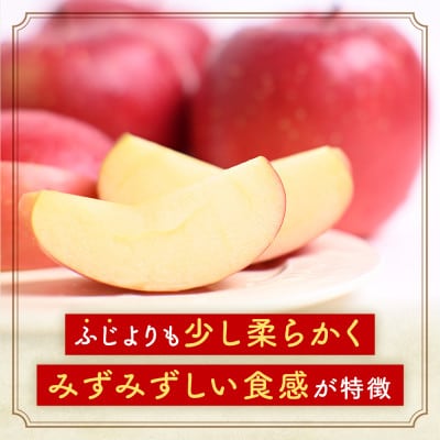 りんご【早生ふじ】約5kg(12～20玉)【2025年産・先行予約】9月下旬～10月下旬頃発送予定