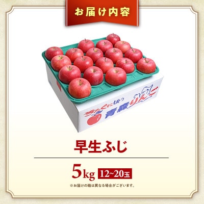 りんご【早生ふじ】約5kg(12～20玉)【2025年産・先行予約】9月下旬～10月下旬頃発送予定