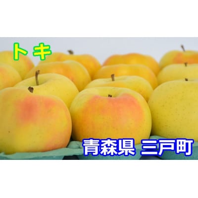 りんご【トキ】約5kg(12～20玉)【2025年産・先行予約】