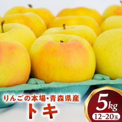りんご【トキ】約5kg(12～20玉)【2025年産・先行予約】9月下旬～11月上旬頃まで発送予定