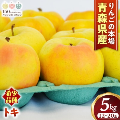 りんご【トキ】約5kg(12～20玉)【2025年産・先行予約】9月下旬～11月上旬頃まで発送予定