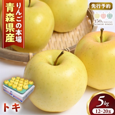 りんご【トキ】約5kg(12～20玉)【2026年産・先行予約】9月下旬～11月上旬頃まで発送予定