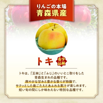 りんご【トキ】約5kg(12～20玉)【2025年産・先行予約】9月下旬～11月上旬頃まで発送予定