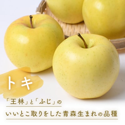 りんご【トキ】約5kg(12～20玉)【2025年産・先行予約】9月下旬～11月上旬頃まで発送予定