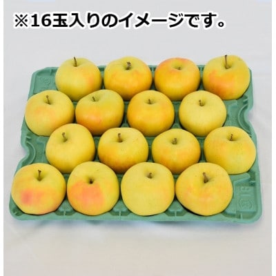 りんご【トキ】約5kg(12～20玉)【2025年産・先行予約】