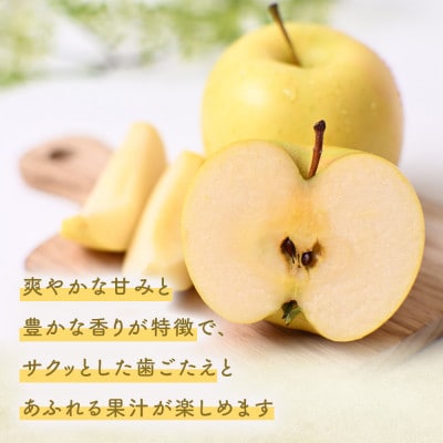 りんご【トキ】約5kg(12～20玉)【2025年産・先行予約】9月下旬～11月上旬頃まで発送予定