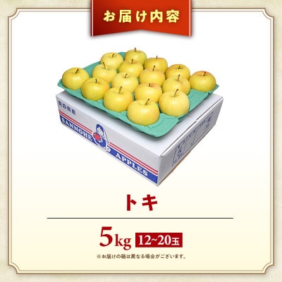 りんご【トキ】約5kg(12～20玉)【2025年産・先行予約】9月下旬～11月上旬頃まで発送予定