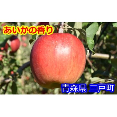 りんご【あいかの香り】約5kg(12～20玉)【2025年産・先行予約】