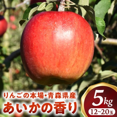 りんご【あいかの香り】約5kg(12～20玉)【2025年産・先行予約】11月中旬～1月中旬頃発送