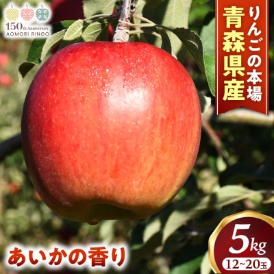 りんご【あいかの香り】約5kg(12～20玉)【2025年産・先行予約】11月中旬～1月中旬頃発送