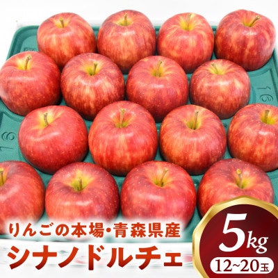 りんご【シナノドルチェ】約5kg(12～20玉)【2025年産・先行予約】10月上旬～下旬頃発送予定