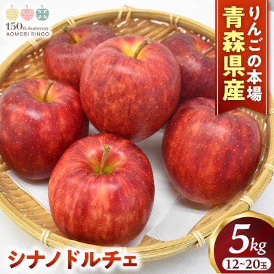 りんご【シナノドルチェ】約5kg(12～20玉)【2025年産・先行予約】10月上旬～下旬頃発送予定