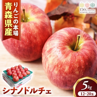 りんご【シナノドルチェ】約5kg(12～20玉)【2025年産・先行予約】10月上旬～下旬頃発送予定