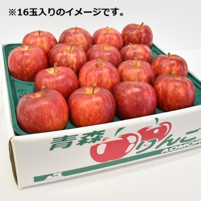りんご【シナノドルチェ】約5kg(12～20玉)【2025年産・先行予約】10月上旬～下旬頃発送予定