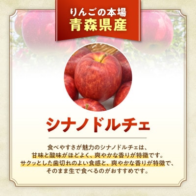 りんご【シナノドルチェ】約5kg(12～20玉)【2025年産・先行予約】10月上旬～下旬頃発送予定