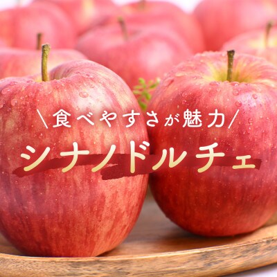りんご【シナノドルチェ】約5kg(12～20玉)【2025年産・先行予約】10月上旬～下旬頃発送予定