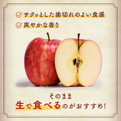 りんご【シナノドルチェ】約5kg(12～20玉)【2025年産・先行予約】10月上旬～下旬頃発送予定