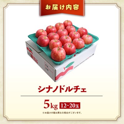 りんご【シナノドルチェ】約5kg(12～20玉)【2025年産・先行予約】10月上旬～下旬頃発送予定