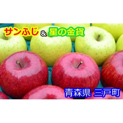 りんご【サンふじ&星の金貨】セット 約5kg(計12～20玉)【2025年産・先行予約】