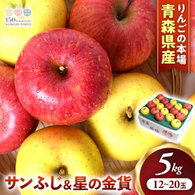 りんご【サンふじ&星の金貨】セット 約5kg(計12～20玉)【2025年産・先行予約】