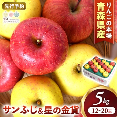 りんご【サンふじ&星の金貨】セット 約5kg(計12～20玉)【2026年産・先行予約】