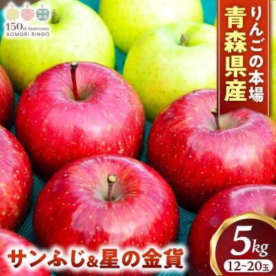 りんご【サンふじ&星の金貨】セット 約5kg(計12～20玉)【2026年産・先行予約】