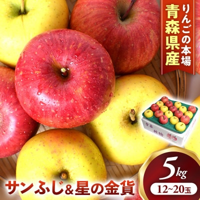 りんご【サンふじ&星の金貨】セット 約5kg(計12～20玉)【2026年産・先行予約】