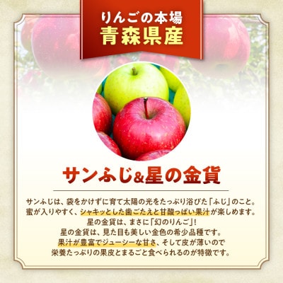 りんご【サンふじ&星の金貨】セット 約5kg(計12～20玉)【2025年産・先行予約】