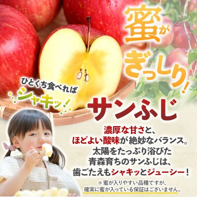 りんご【サンふじ&星の金貨】セット 約5kg(計12～20玉)【2025年産・先行予約】