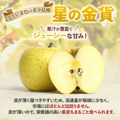 りんご【サンふじ&星の金貨】セット 約5kg(計12～20玉)【2025年産・先行予約】