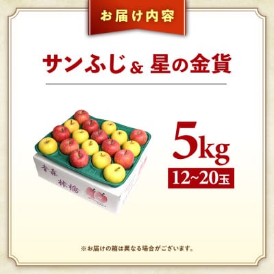 りんご【サンふじ&星の金貨】セット 約5kg(計12～20玉)【2025年産・先行予約】