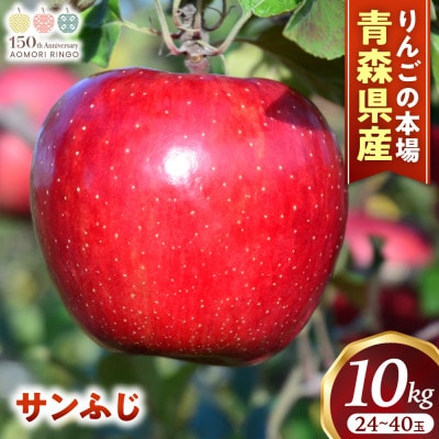 りんご「サンふじ」約10kg(24~40玉)【2025年産・先行予約】12月上旬～1月下旬発送予定